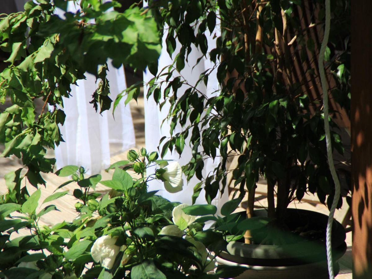 Bed and Breakfast Les Pascals Saint-Paul-lès-Romans Exterior foto